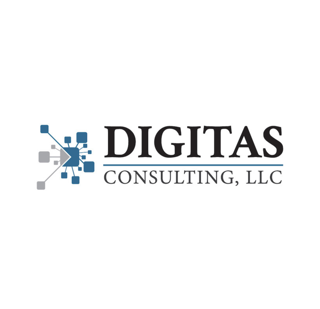 Digitas Consulting